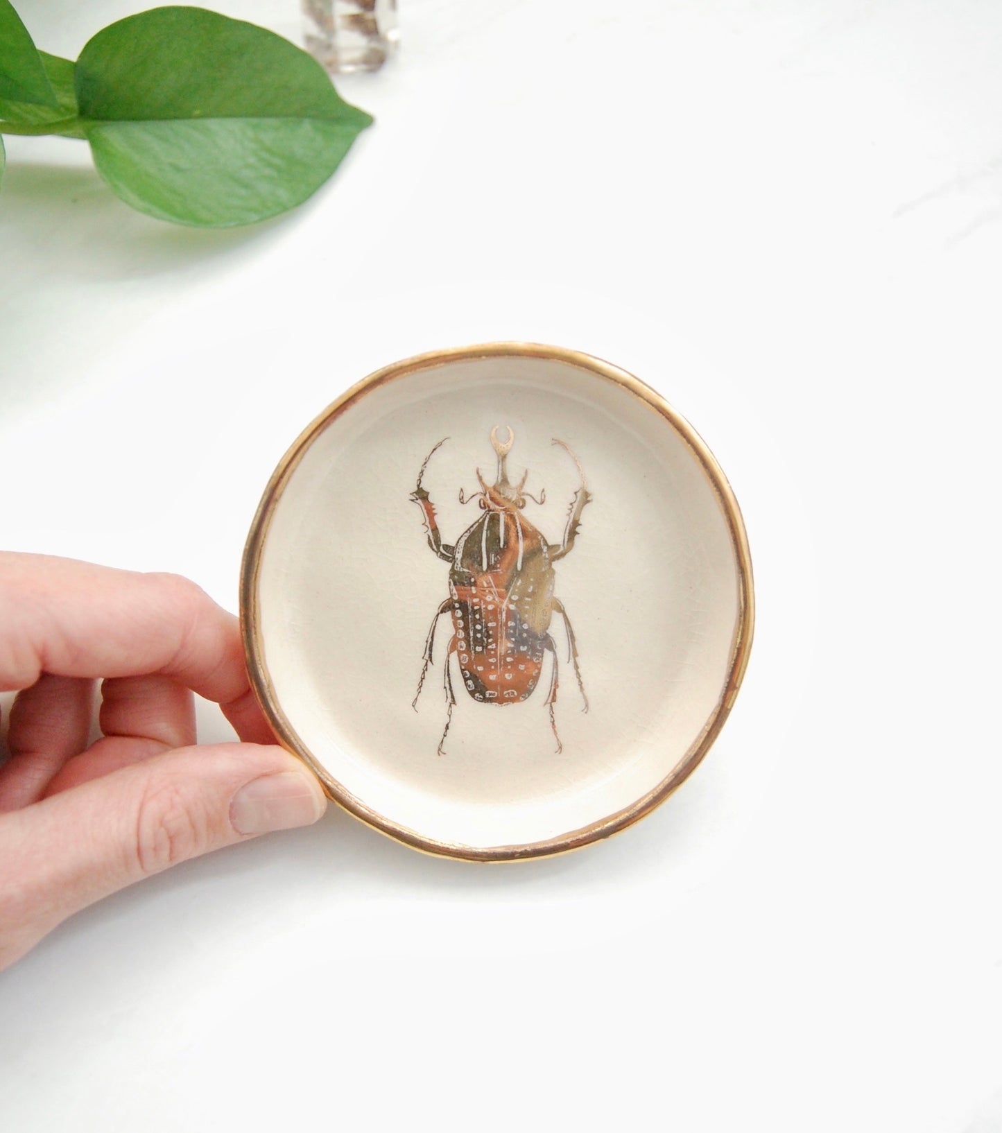 Scarab Beetle Decor Dish