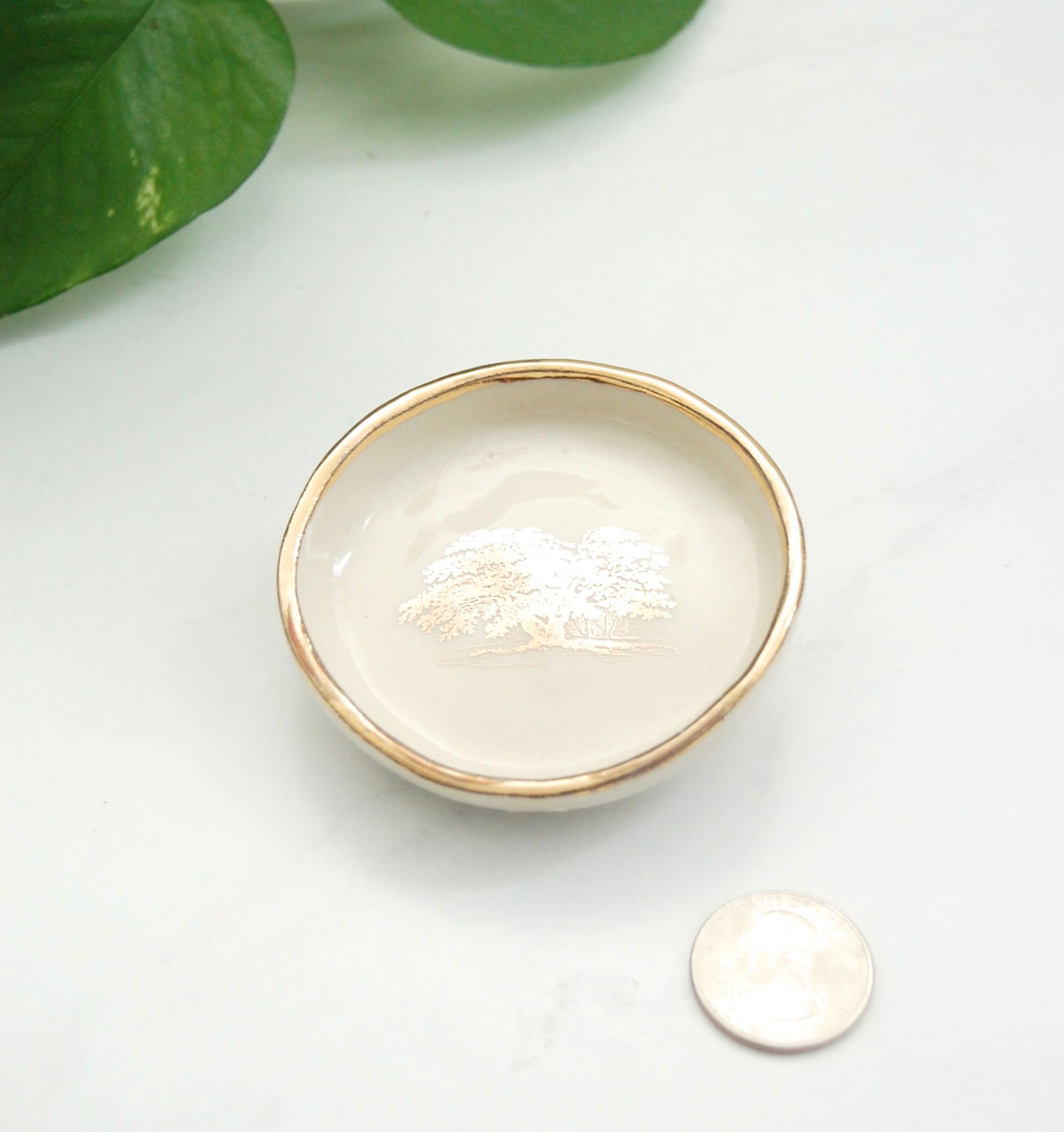 English Oak : Tiny Decor Dish