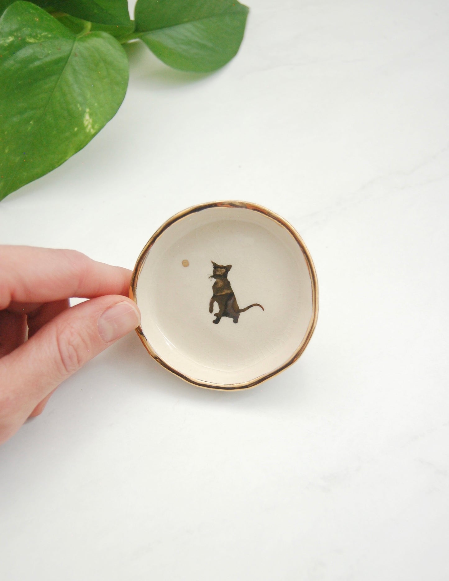 Curious Kitten : Tiny Decor Dish