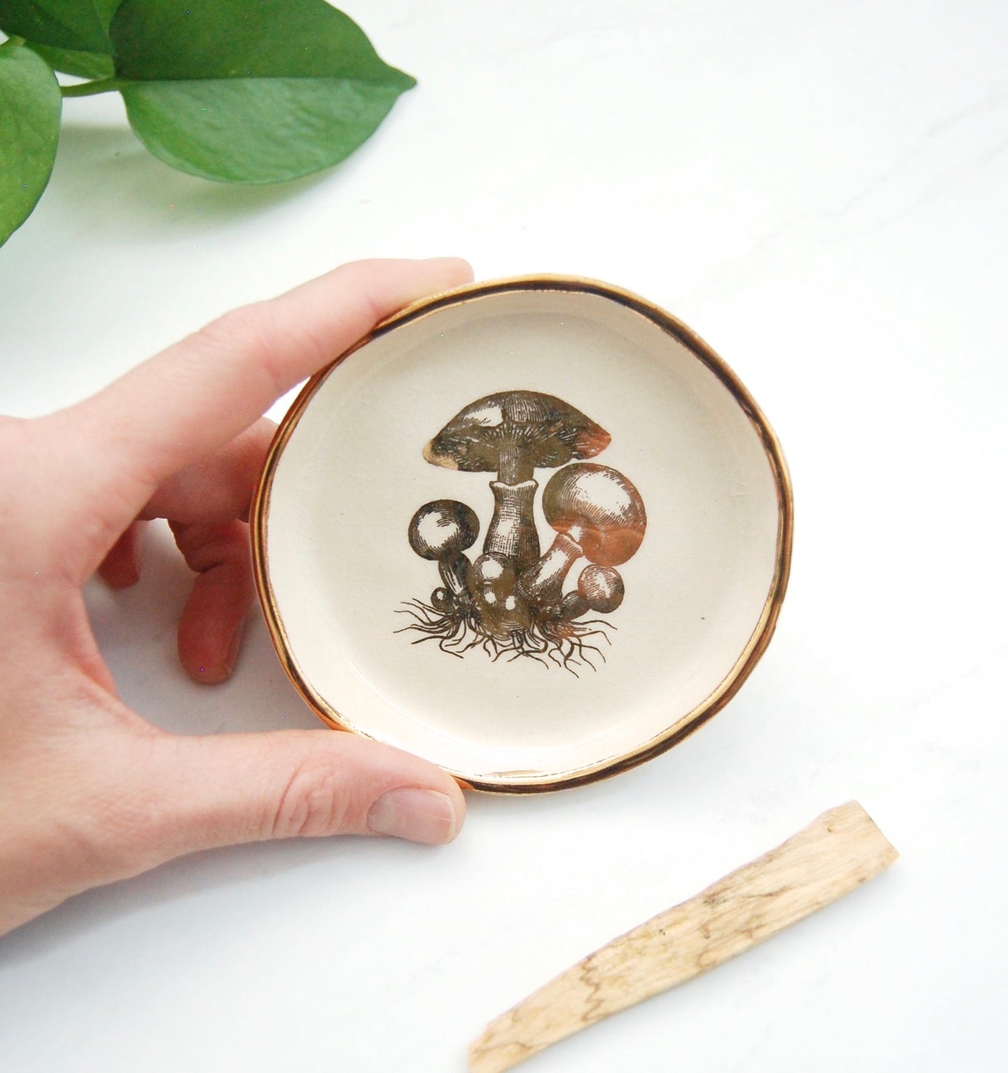 Mycelium Mushrooms Decor Dish