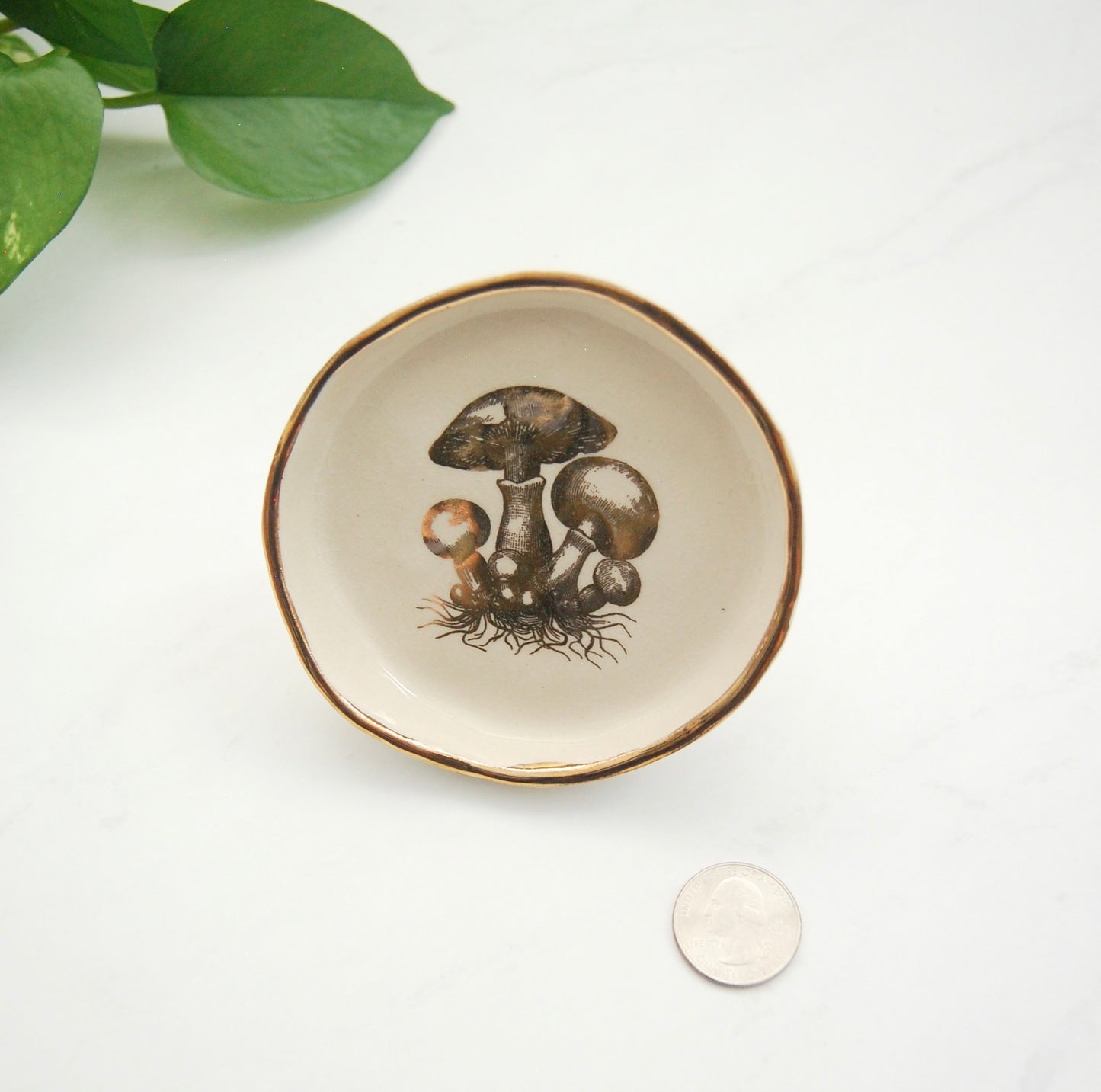 Mycelium Mushrooms Decor Dish