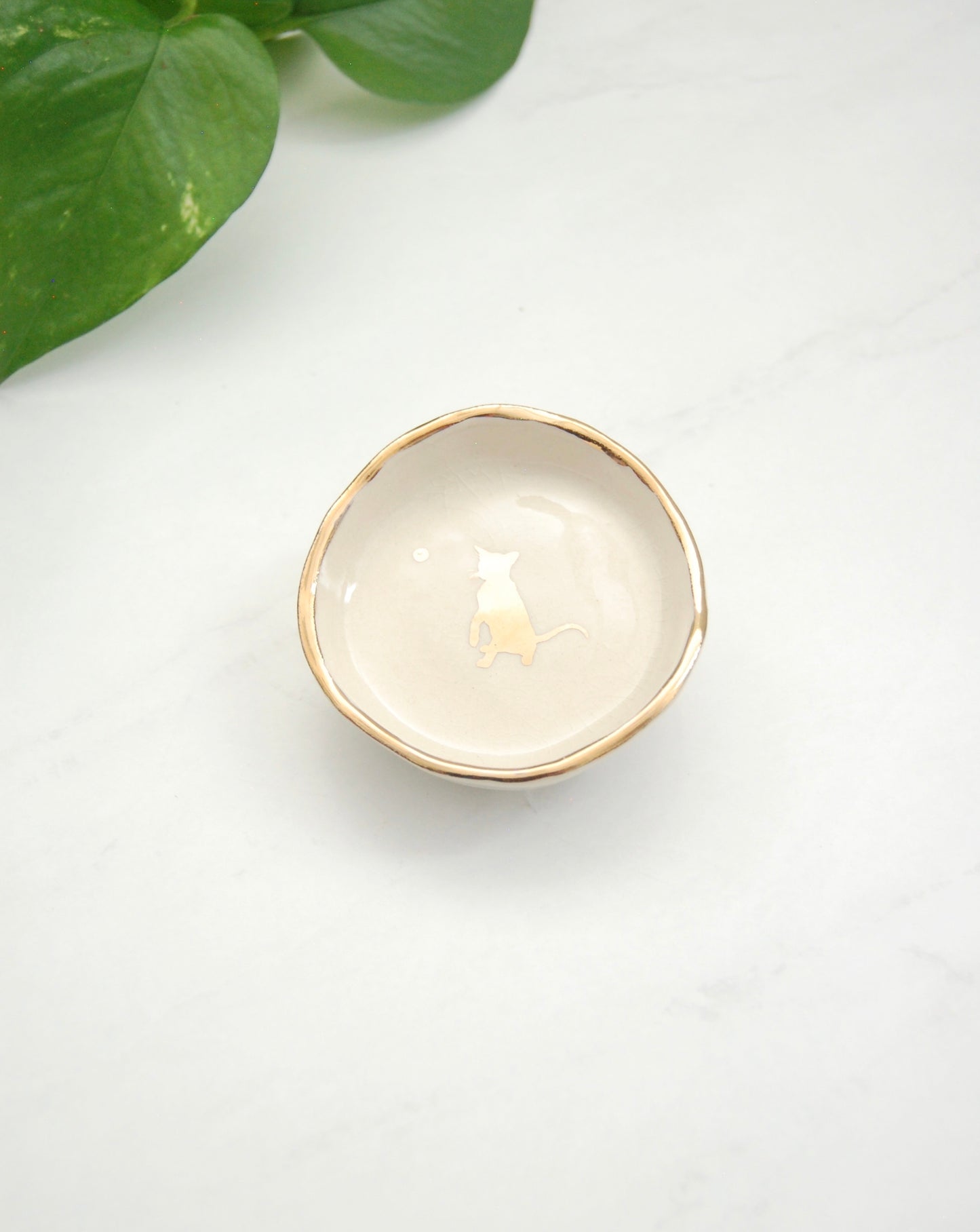 Curious Kitten : Tiny Decor Dish