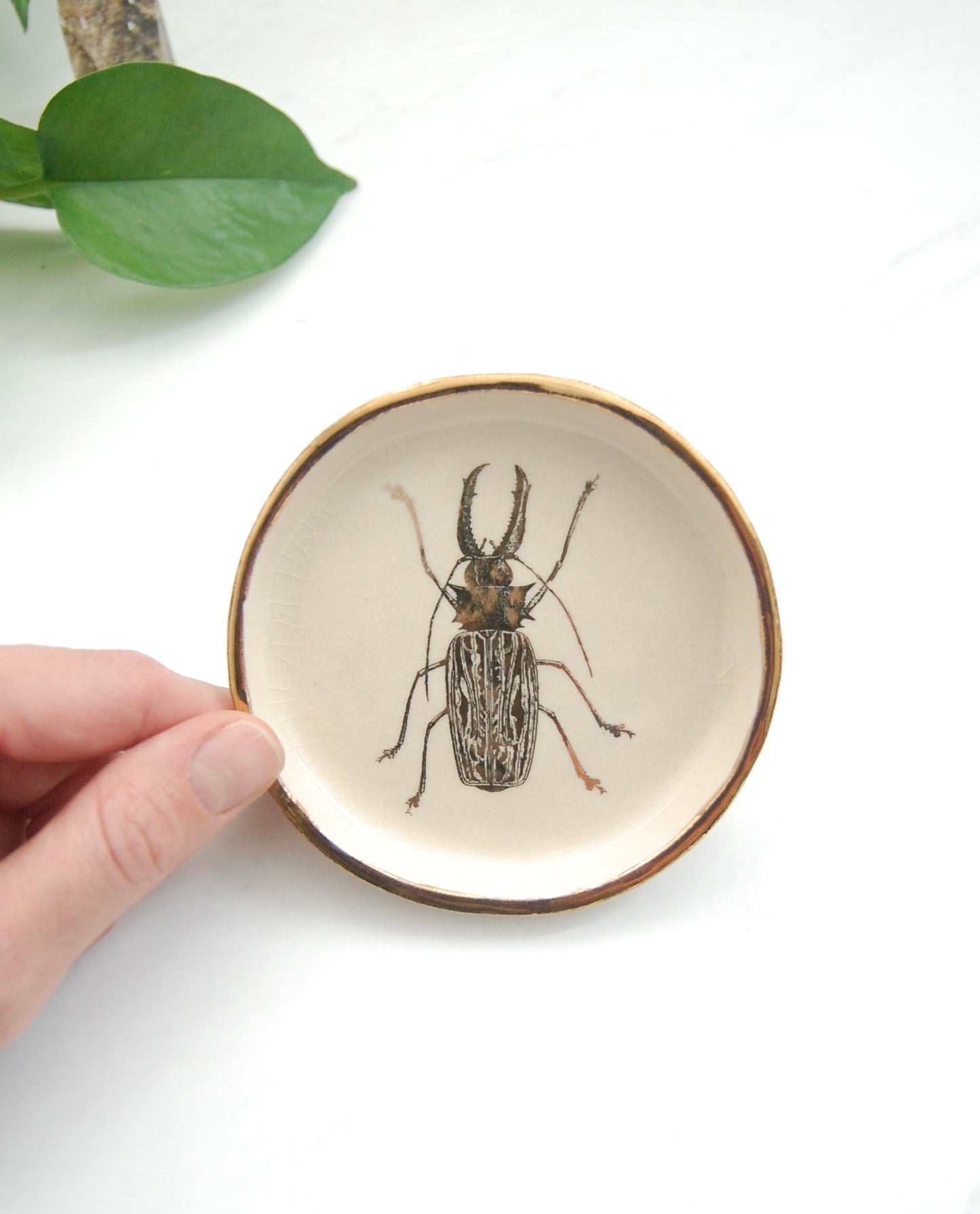 Sabertooth Longhorn Beetle Decor Dish