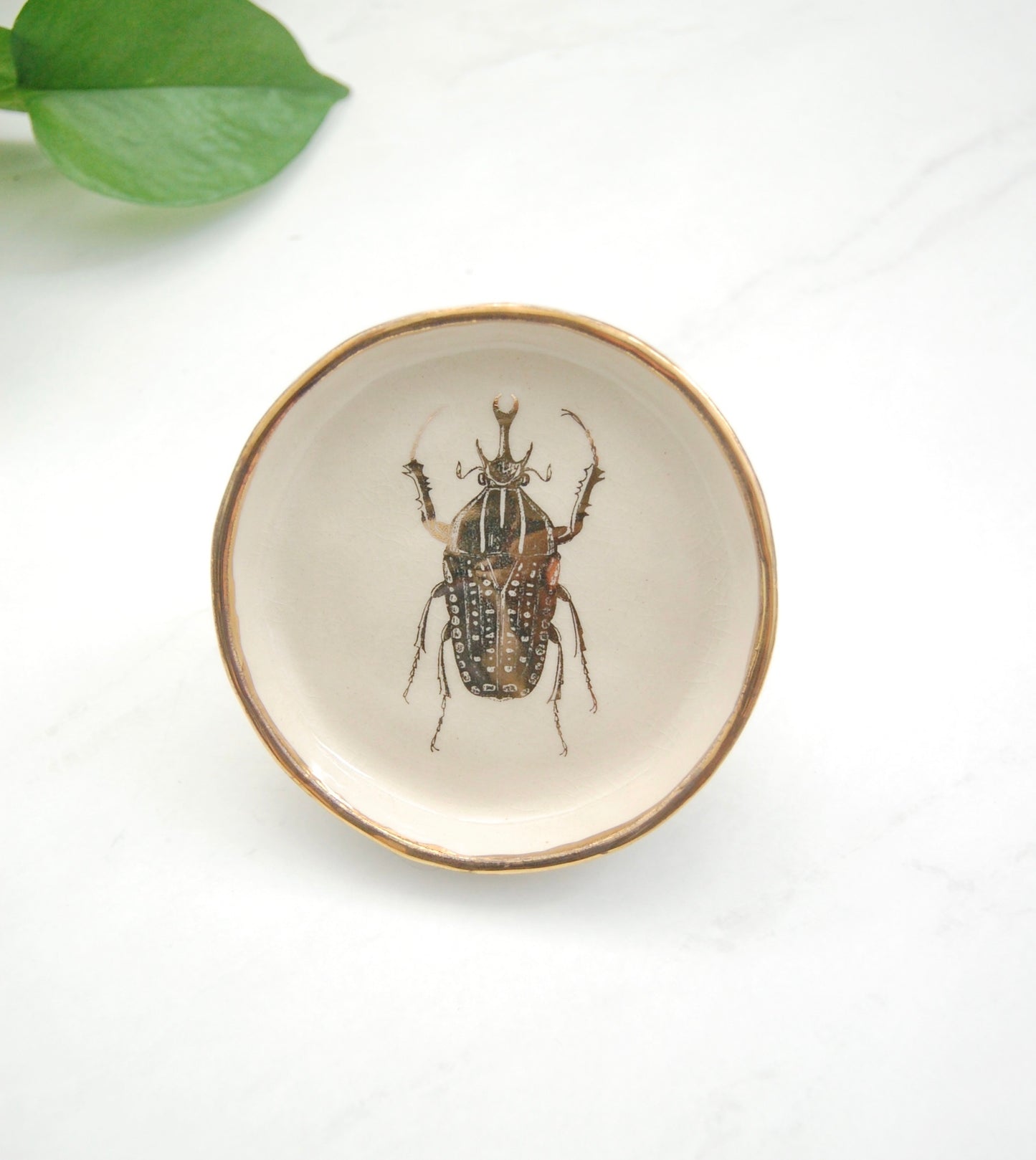 Scarab Beetle Decor Dish