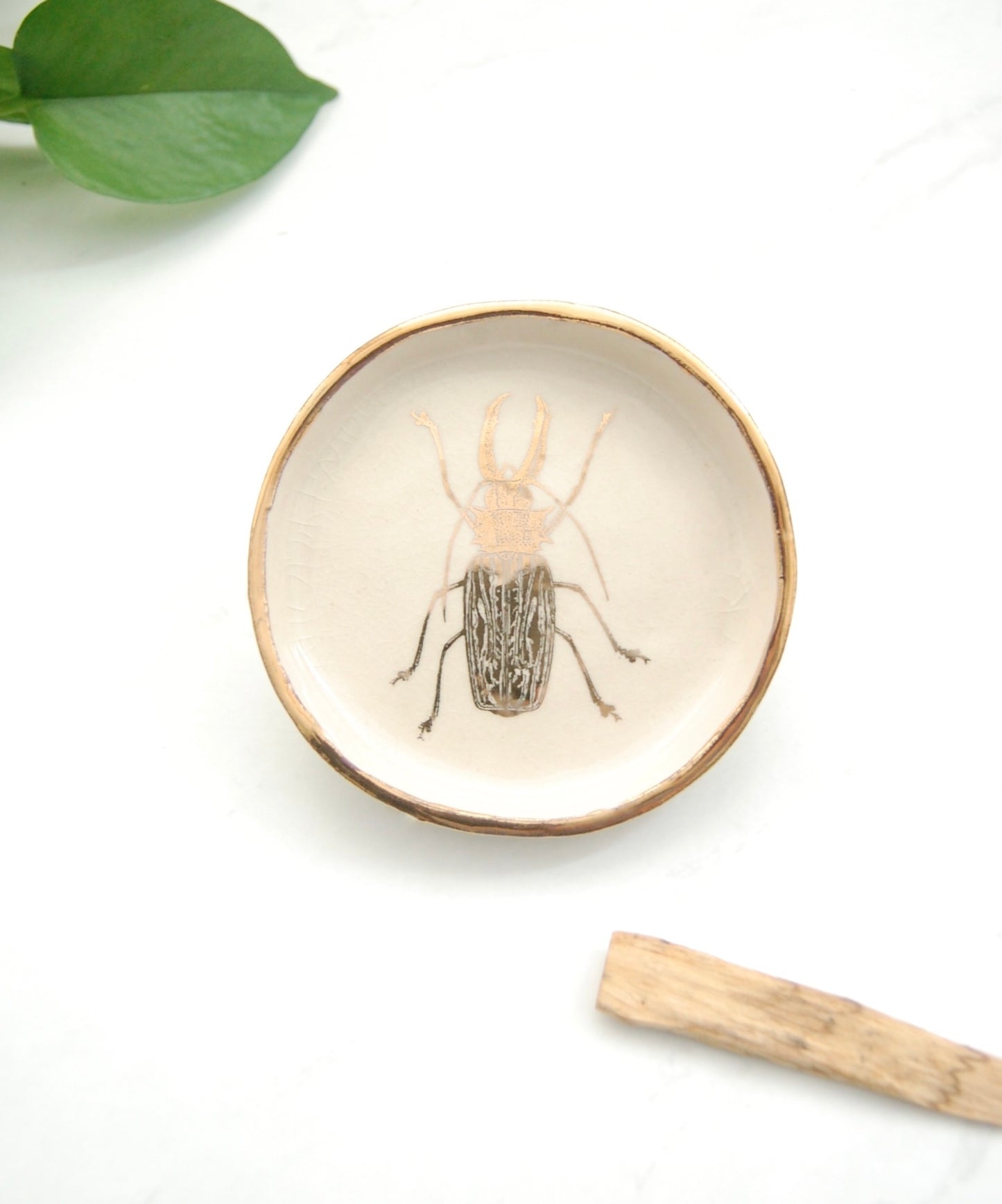 Sabertooth Longhorn Beetle Decor Dish