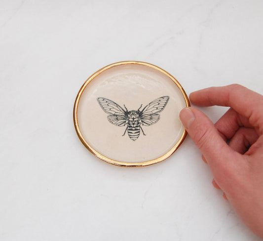 Cicada: Decor Dish