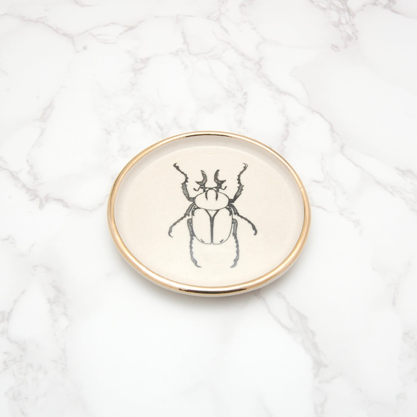 Reindeer Horn Antler Beetle: Decor Dish (4”)