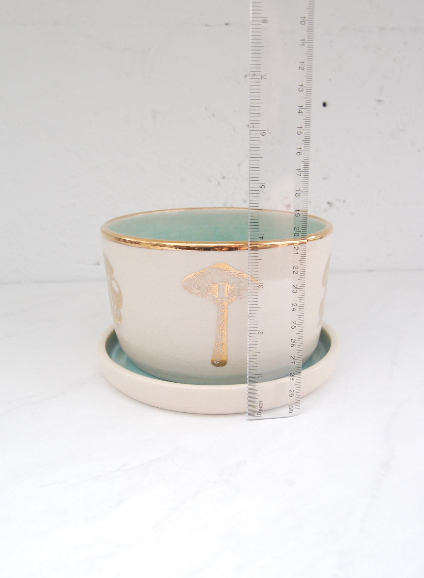 Gold Luster Mushroom: Short Plant Pot