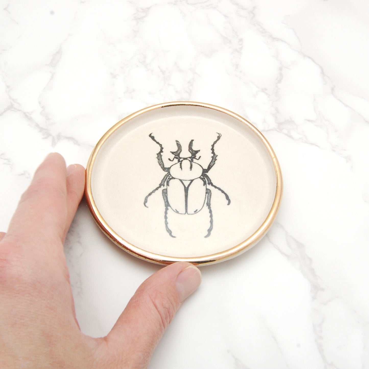Reindeer Horn Antler Beetle: Decor Dish (4”)