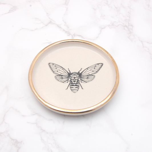 Cicada: Decor Dish (4”)