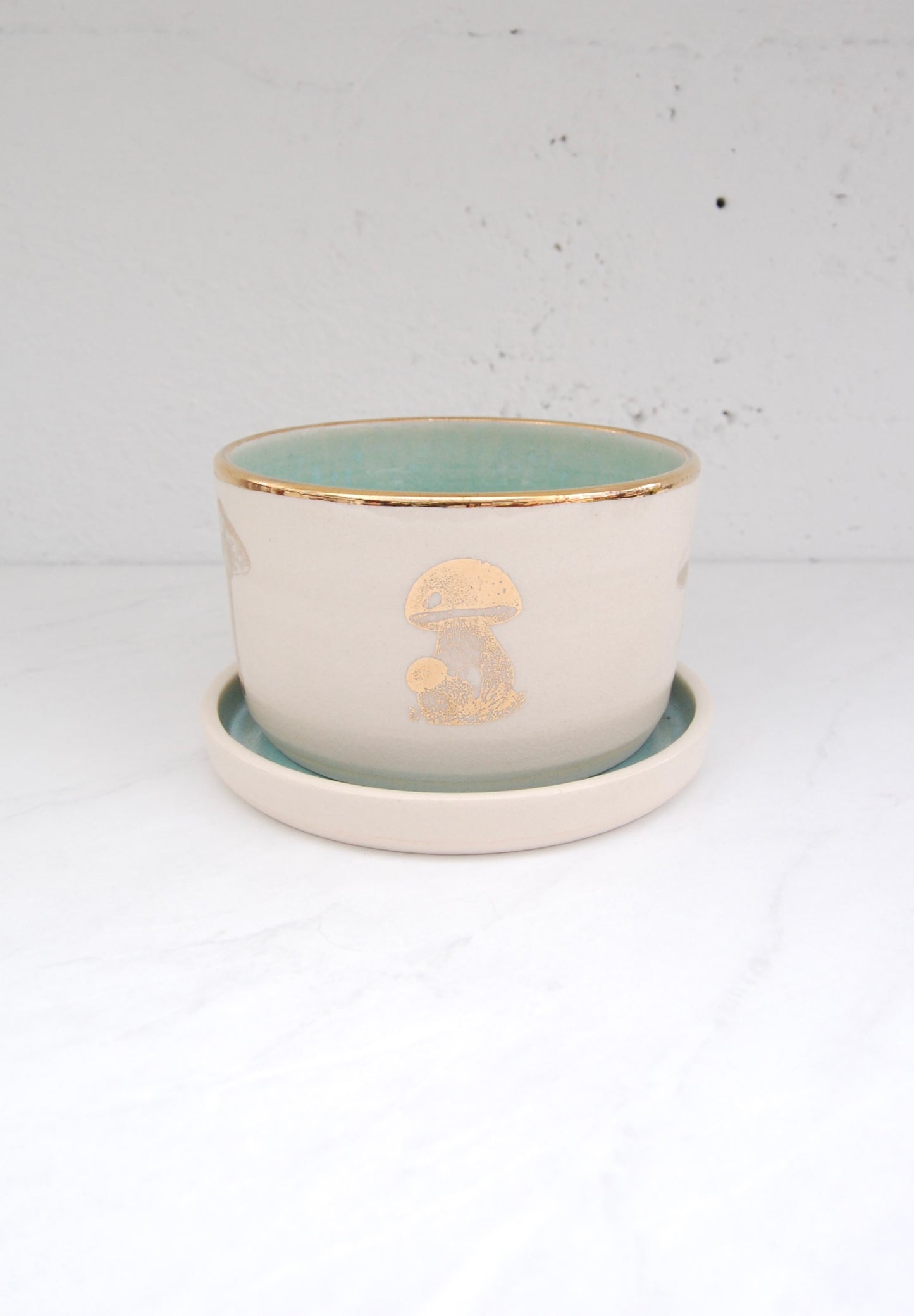 Gold Luster Mushroom: Short Plant Pot