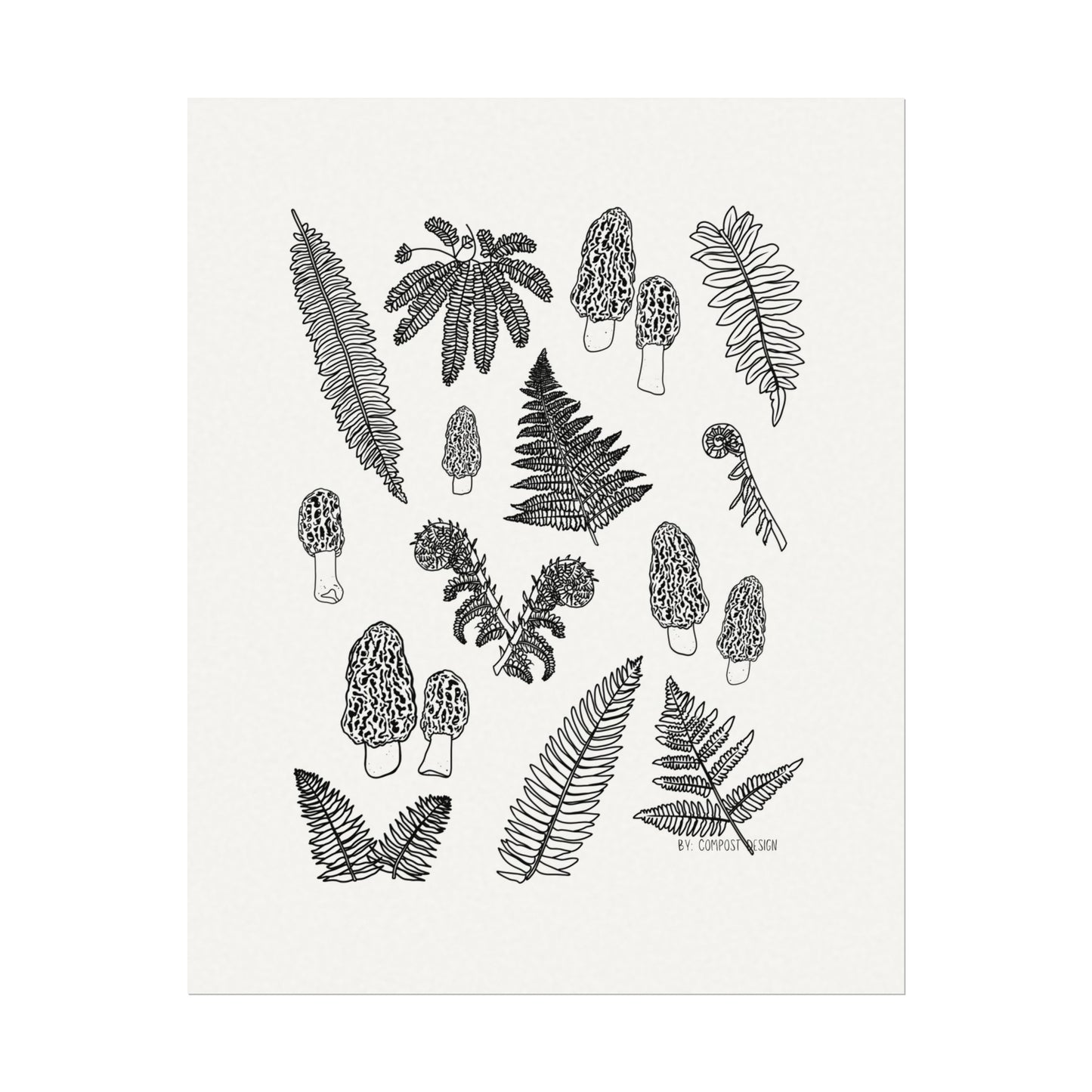 Forest Floor Drawing: Matte Poster