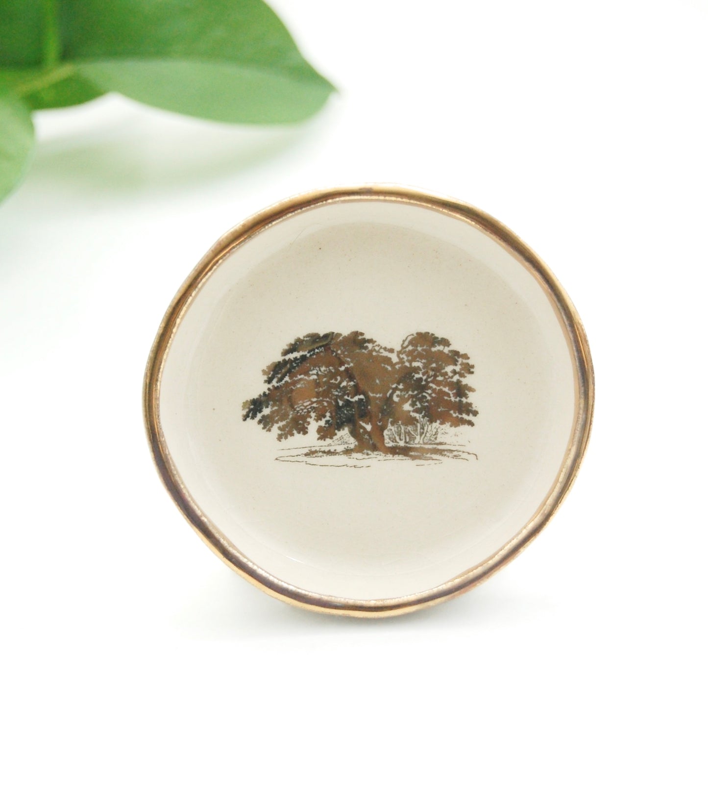 English Oak : Tiny Decor Dish