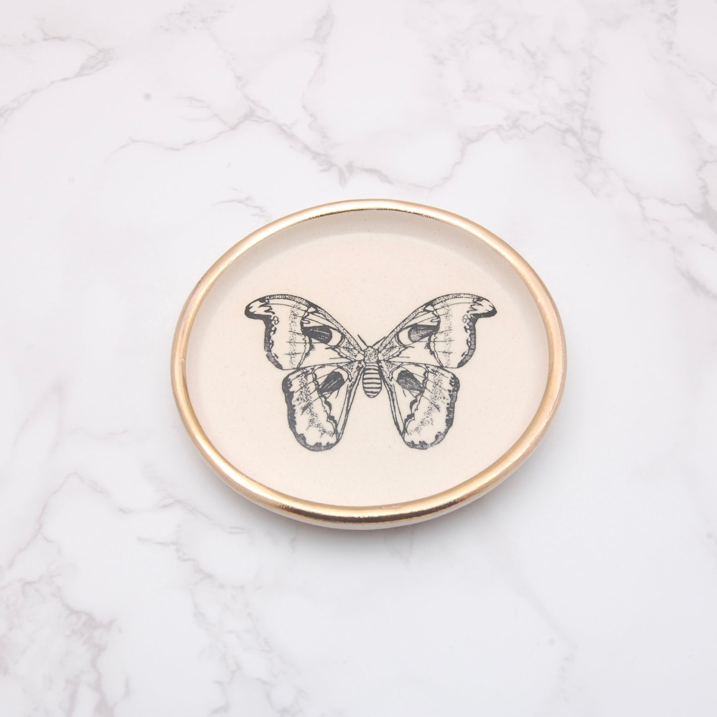 Atlas Moth: Decor Dish (4”)