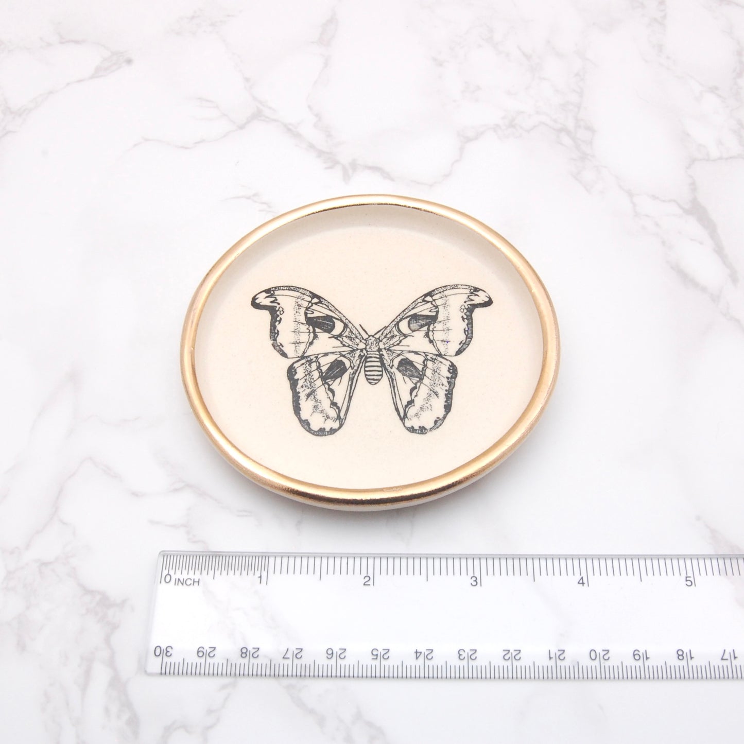 Atlas Moth: Decor Dish (4”)