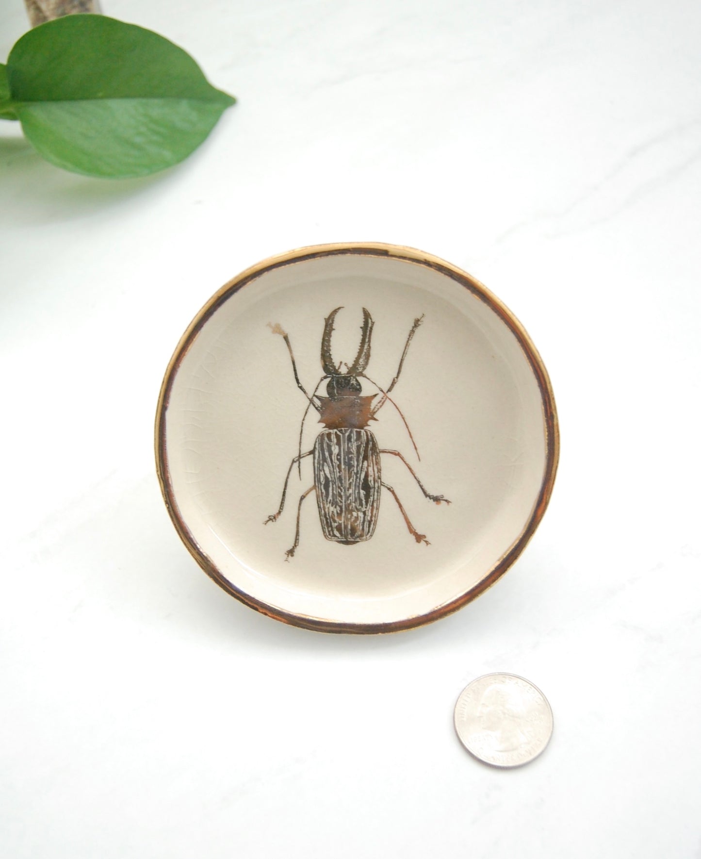 Sabertooth Longhorn Beetle Decor Dish