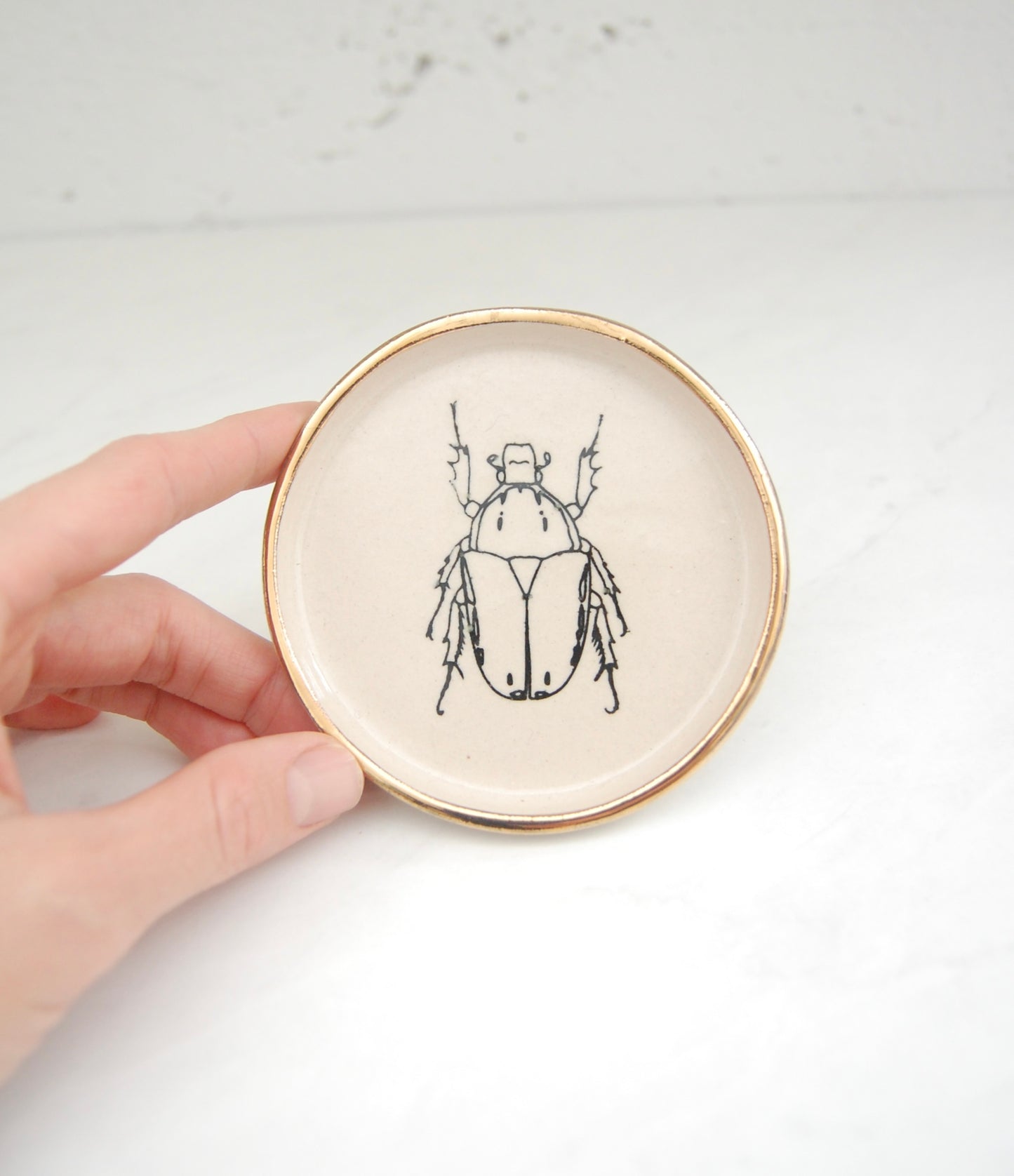 Beetle Sketch :Decor Dish