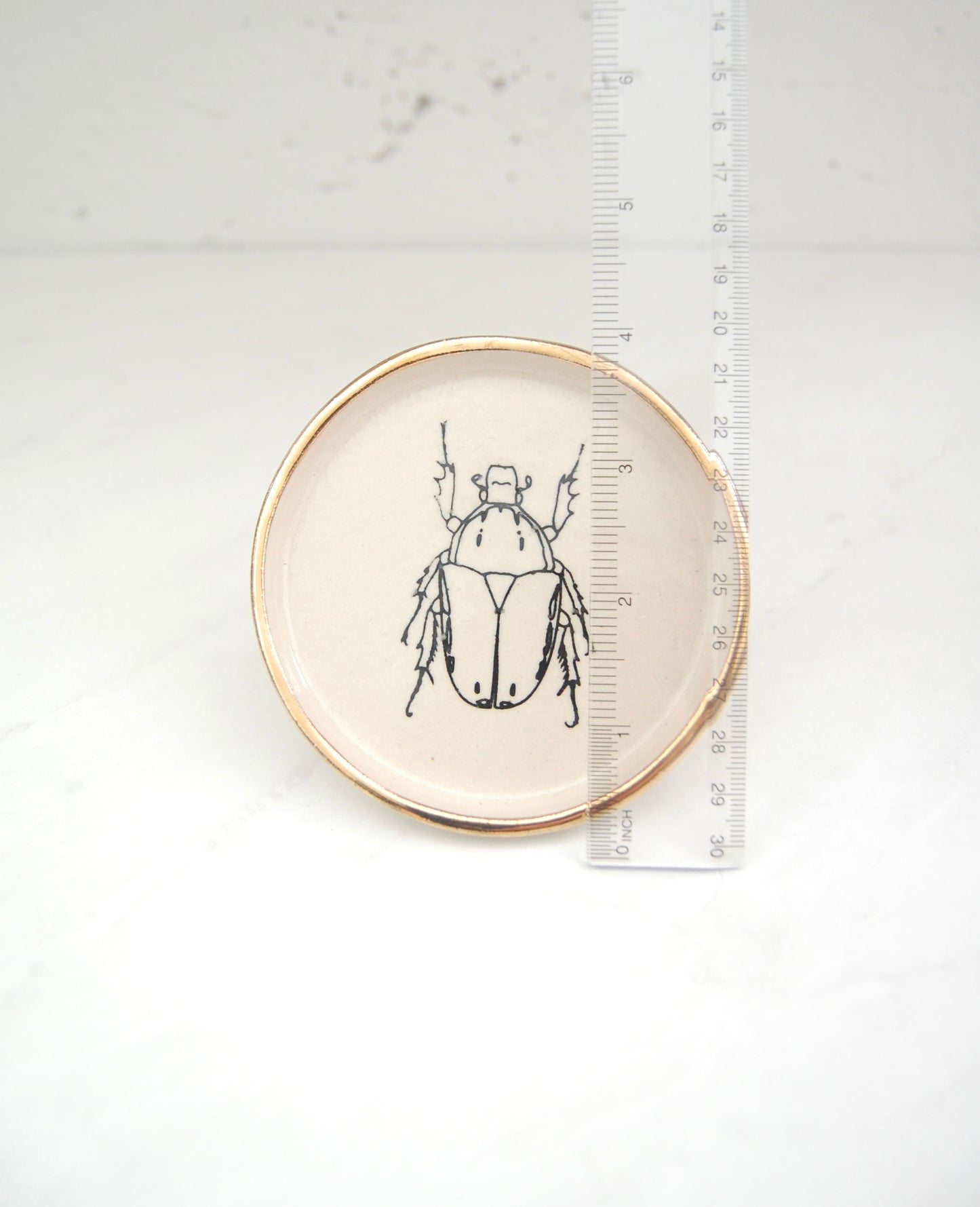 Beetle Sketch :Decor Dish