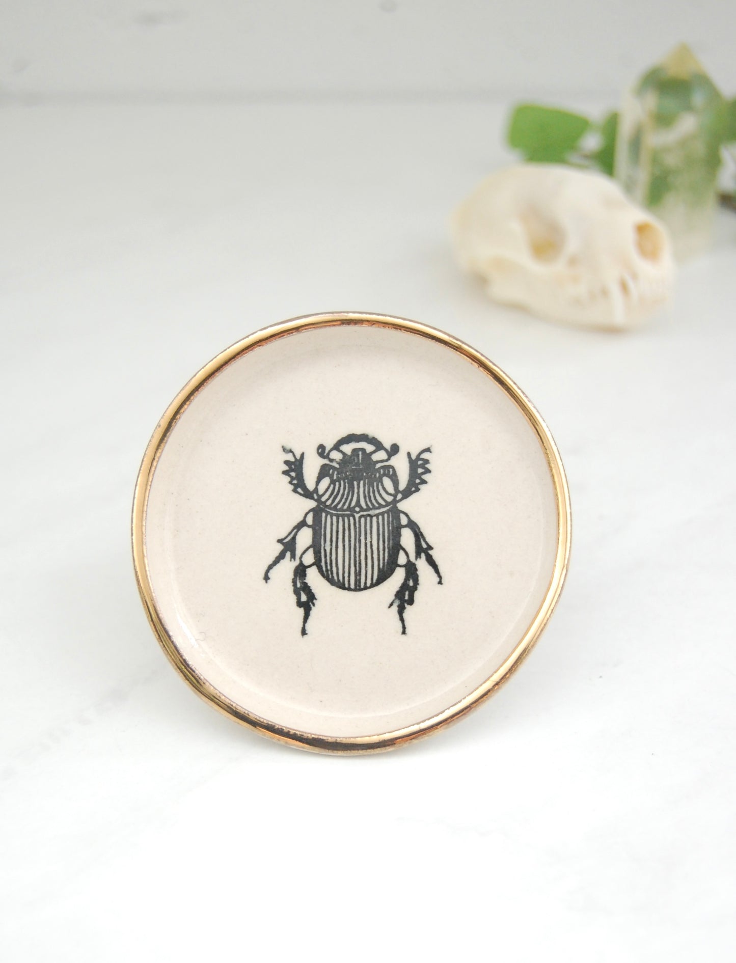 Little Beetle: Tiny Decor Dish