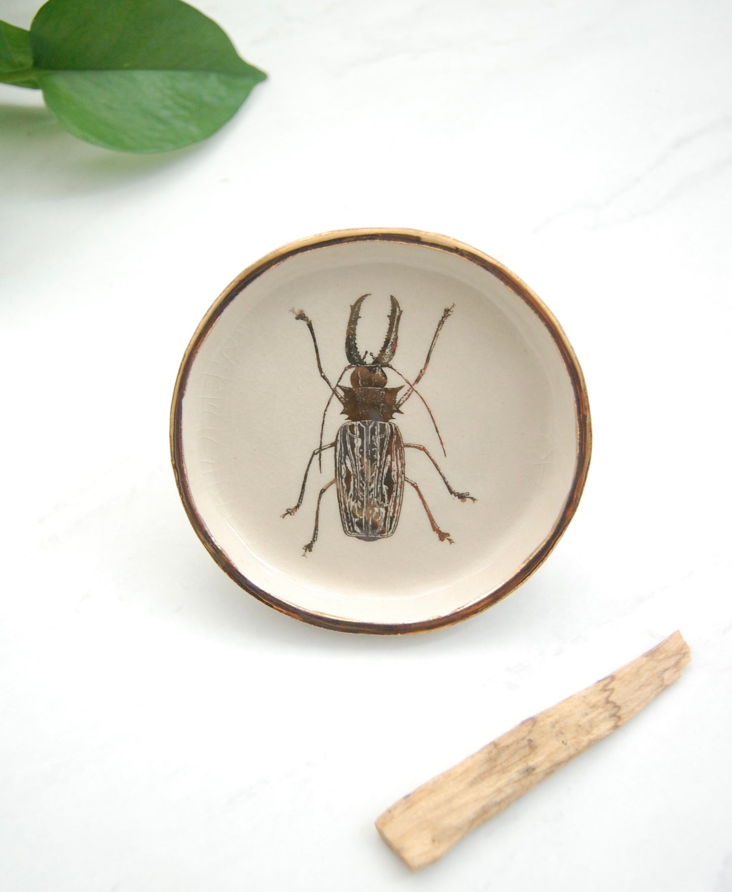 Sabertooth Longhorn Beetle Decor Dish