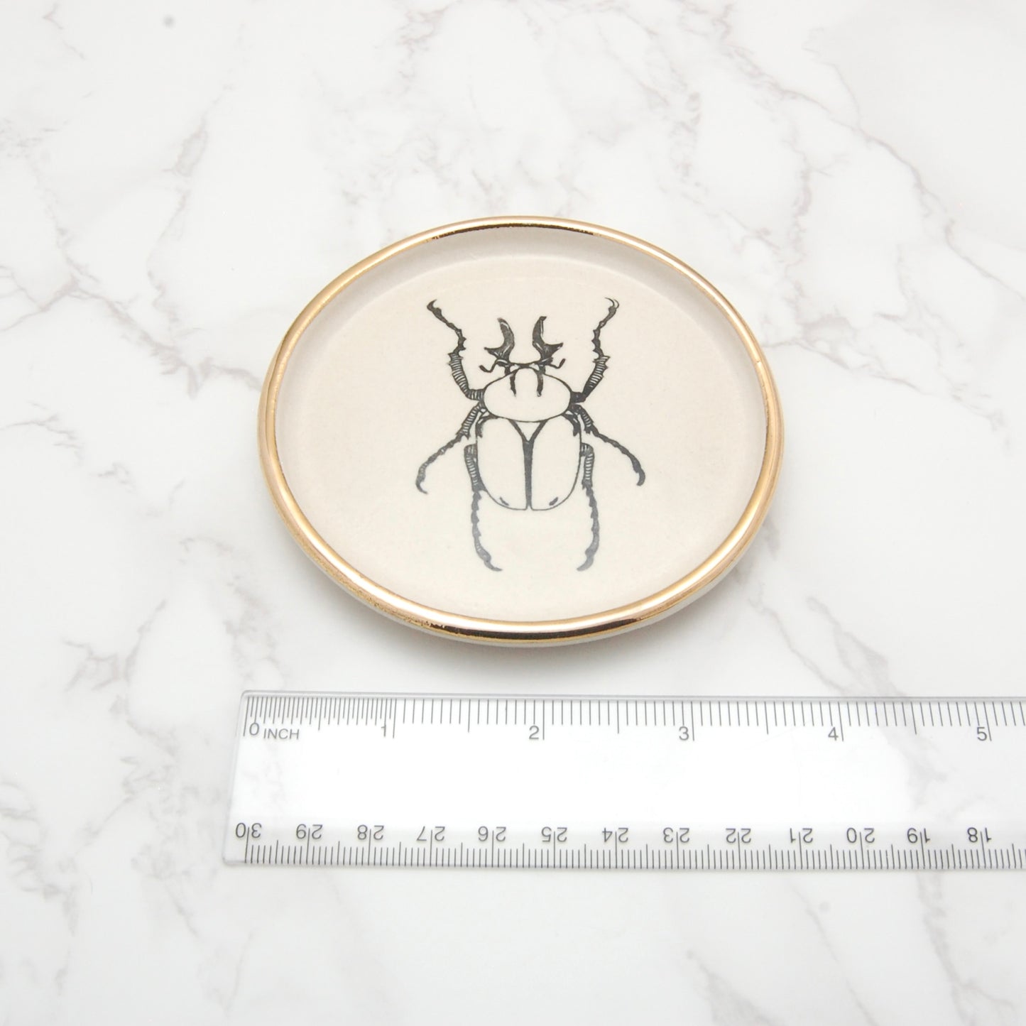 Reindeer Horn Antler Beetle: Decor Dish (4”)