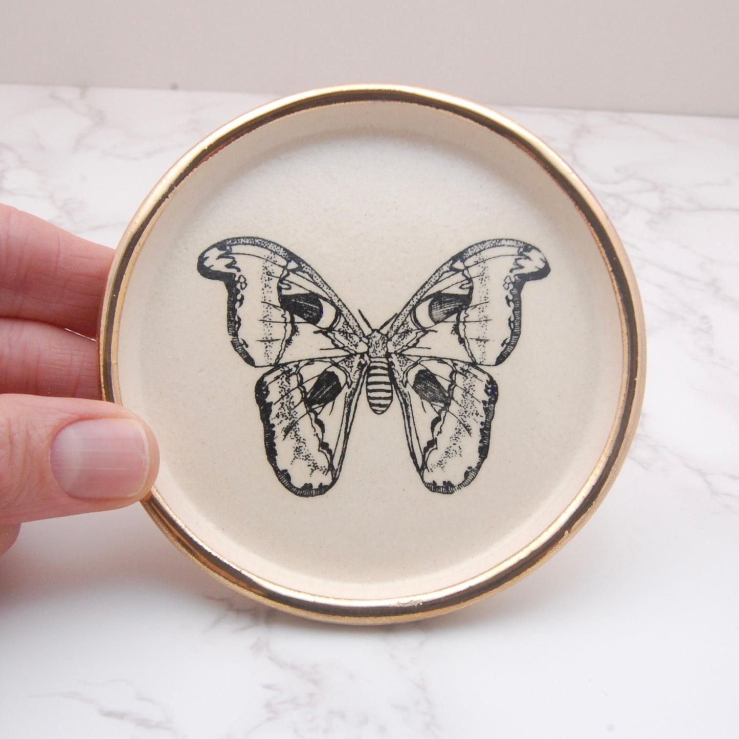 Atlas Moth: Decor Dish (4”)