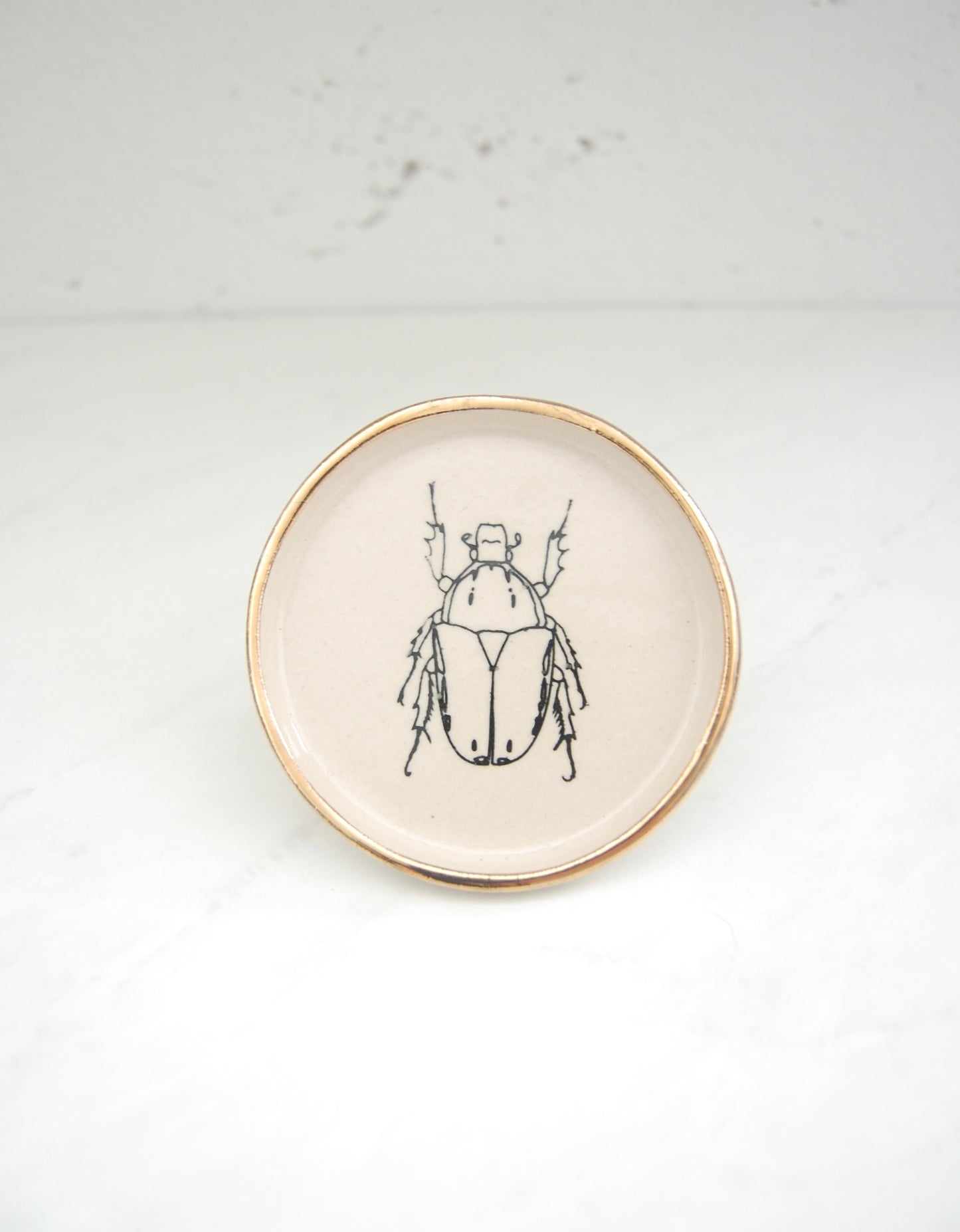 Beetle Sketch :Decor Dish