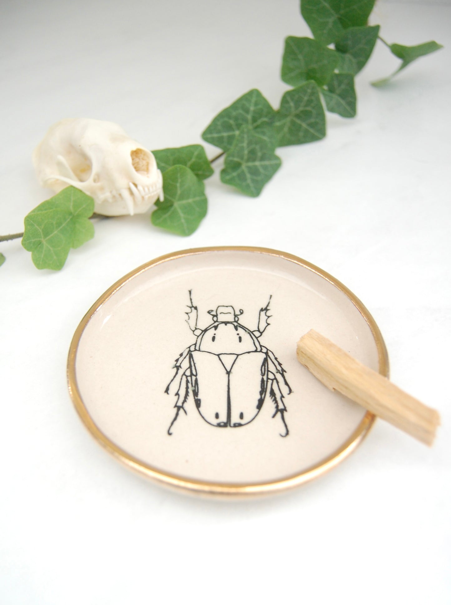 Beetle Sketch :Decor Dish