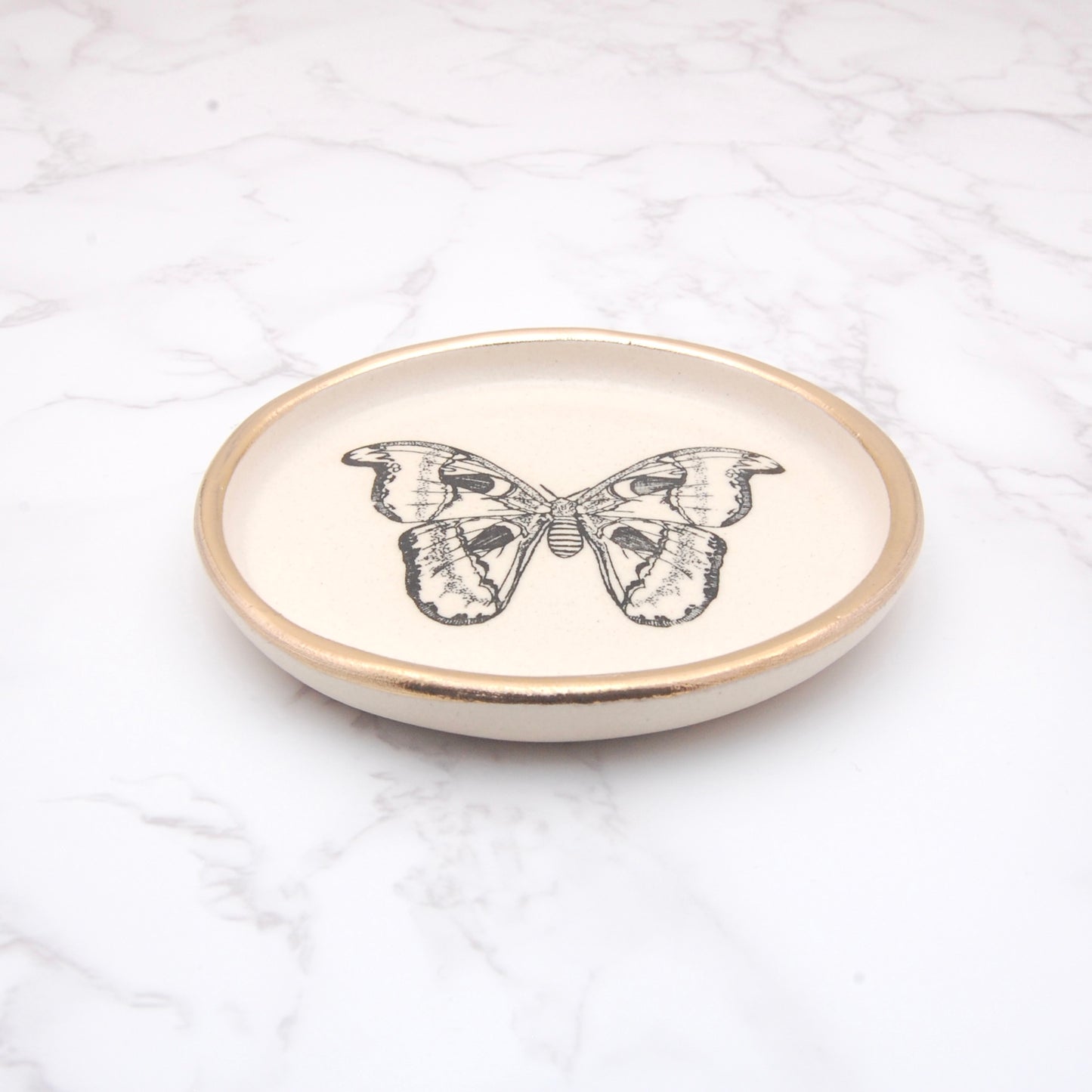 Atlas Moth: Decor Dish (4”)