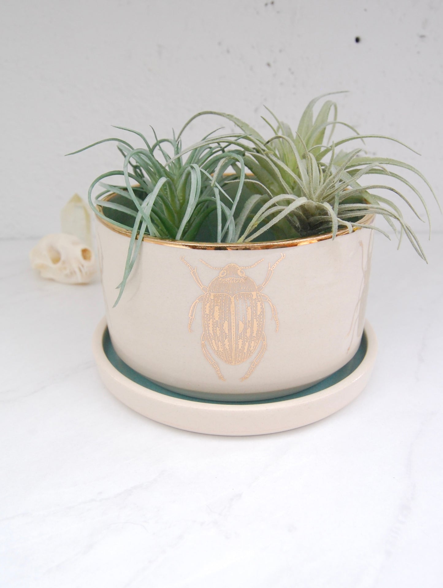 Beetles: Short Plant Pot