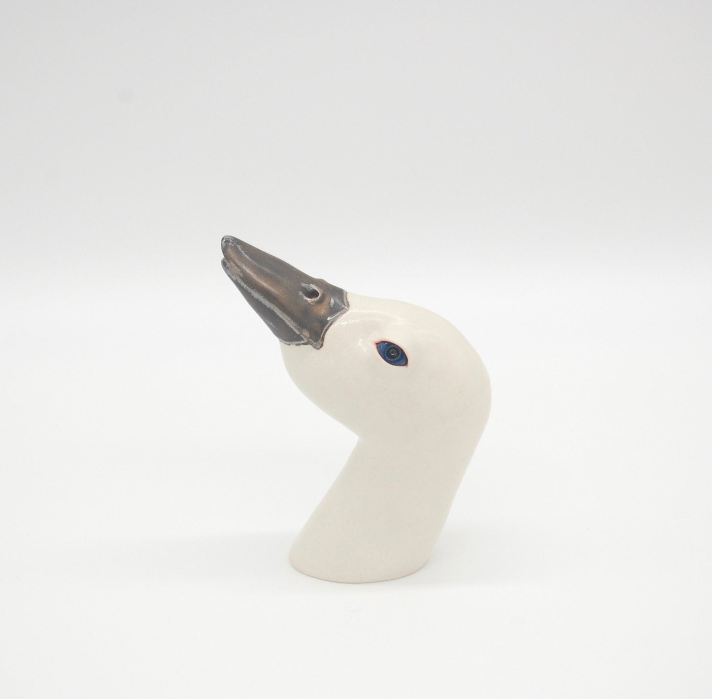 Bird Head Sculpture: Picus