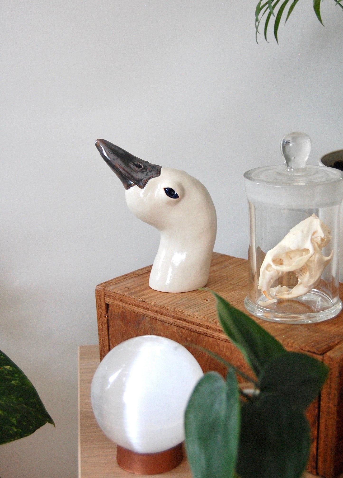 Bird Head Sculpture: Pluma
