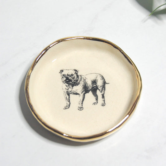 Bull Dog : Tiny Decor Dish